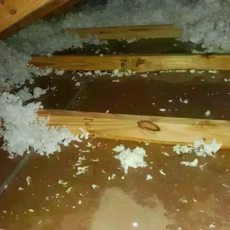 Attic Water Damage in Sunray, TX