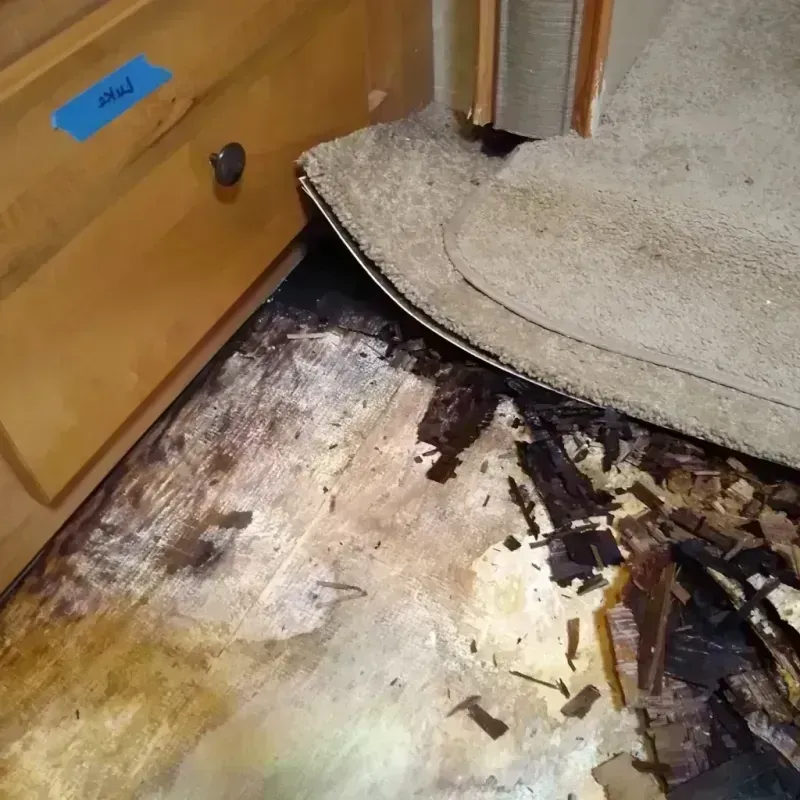 Wood Floor Water Damage in Sunray, TX